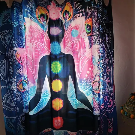 Rony Accommodatie bij particulieren *